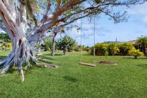 two swings in a park with a tree at Lil Blue in Punta Gorda