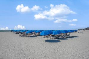 a line of chairs and umbrellas on a beach at Marco Beach Ocean Resort 807 in Marco Island