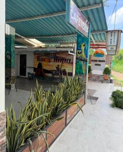 a patio with plants in front of a building at WARI RUNA HOSTAl 103 in Necoclí