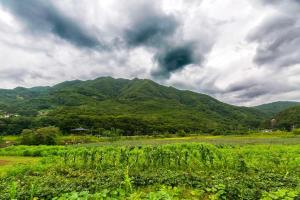 a view of a field with mountains in the background at danyang deulggochyanggi in Danyang +6 photos