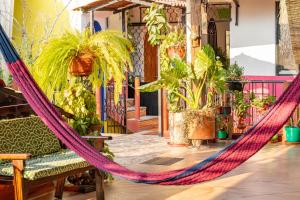 a hammock in a room with plants at Casa San Jerónimo in Puerto Escondido