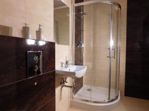 a bathroom with a sink and a shower at Agroturystyka pod Czarną Sosną in Biały Ług +36 photos