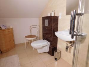 a small bathroom with a toilet and a sink at Agroturystyka pod Czarną Sosną in Biały Ług