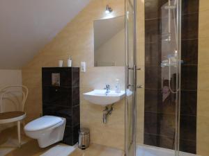 a bathroom with a shower and a sink and a toilet at Agroturystyka pod Czarną Sosną in Biały Ług
