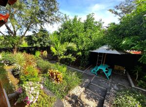a garden with a tent and a blue chair at Secret Garden Surf Resort, walk to waves in Pulau Gilkaliantan