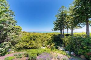 a garden with trees and bushes on a hill at The Eliot Noyes in Chilmark