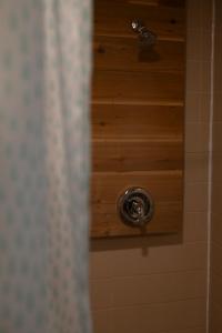 a shower in a bathroom with a shower head at Spahats Creek Resort in Clearwater +47 photos
