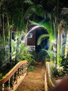 a bench in the middle of a garden with palm trees at Twin Retreat in Madikeri +7 photos