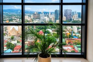 a window view of a city with a potted plant at LJ CCC CozyNest at 32 Cebu Fast Wifi Netflix You tube in Cebu City