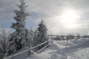 Obiekt Ferienwohnung Alpenglück zimą