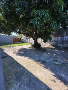 a tree sitting in the middle of a sidewalk at Alojamiento Paz in Esquina +3 photos