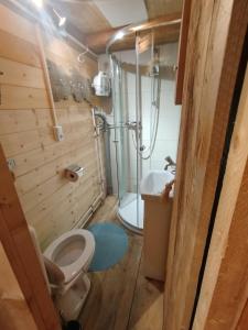 a bathroom with a toilet and a shower in it at Almhütte Andrea in Wildschönau +76 photos