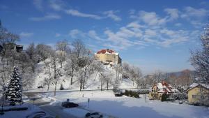 Apartament na Błoniach v zime