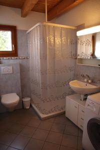 a bathroom with a shower and a toilet and a sink at Stöckli aux Fontaines in Tramelan