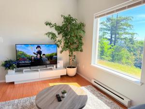 a living room with a tv and a large window at Ravenwood Stay With Ocean View in Victoria