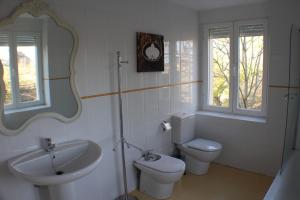 a bathroom with a sink and a toilet and a mirror at Villa Merenciana in Agoncillo +126 photos