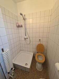 a bathroom with a shower and a toilet and a tub at Réhelyi in Szigliget