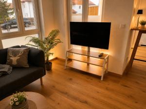 a living room with a flat screen tv on a stand at Schongau Suites Premium Apartments M in Schongau
