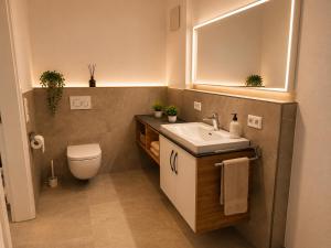 a bathroom with a sink and a toilet and a mirror at Schongau Suites Premium Apartments M in Schongau