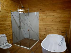 a bathroom with a shower and a toilet at Golden Coast in Batumi