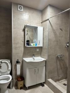 a bathroom with a sink and a shower and a toilet at White House in Kobuleti