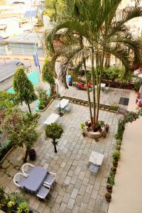 Un jardín fuera de Hotel Travel Inn