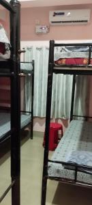 a group of bunk beds in a dorm room at Backpackers' Haven in Guwahati