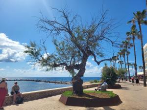 a statue of a tree on a sidewalk near the ocean at Ferienwohnung Lika in Cala Bona