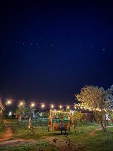 a man sitting on a swing in a park at night at Bosogo Yurt camp in Bokonbayevo
