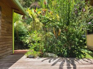 a garden with trees and plants on a porch at La pirogue enchantée maison karukera in Païta +40 photos