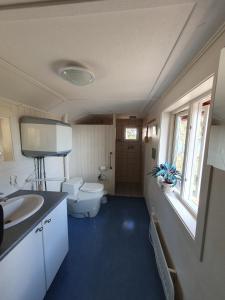 a bathroom with a toilet and a sink at Lillstugan at Sävö in Västerljung