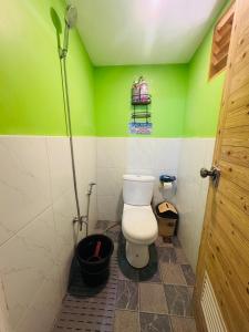 a bathroom with a toilet and a green wall at Gabs Haven Transient House in El Nido