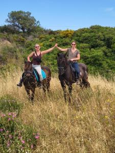 two women are riding horses in a field at Yellowstone in Kefalos