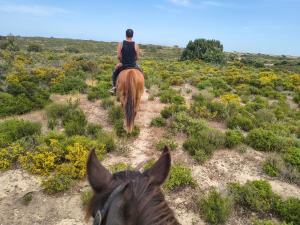a man riding a horse down a dirt road at Yellowstone in Kefalos