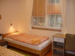 sypialnia z łóżkiem, biurkiem i oknami w obiekcie Apartments - Penzion Lena w mieście Hradec Králové