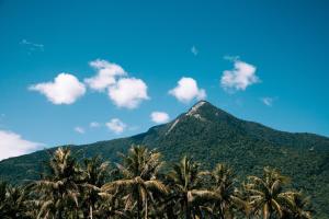a mountain with palm trees in front of it at Chungi Hotel 純吉民宿 咖啡 in Xincheng