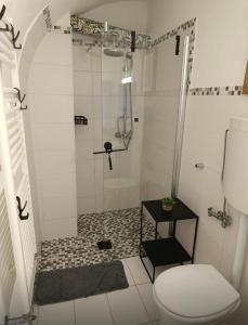 a bathroom with a shower and a toilet at Ferienwohnung Storck in Bad Bleiberg