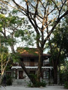 a house with a tree in front of it at Rumah Jah Langkawi in Pantai Cenang