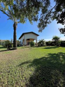 a house in a field with a palm tree at Casale Country Chic- Sabaudia in Borgo Isonzo