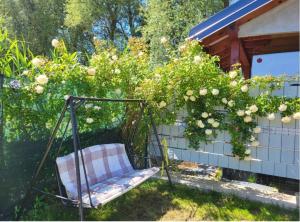 a swing in a garden with flowers on a wall at Duży kemping in Ustronie Morskie