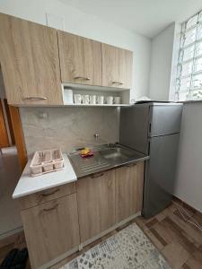 a small kitchen with a sink and a refrigerator at Apartman Riverside Ripač in Ripač