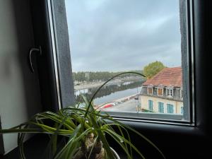 a plant in a window with a view of a river at Le centre in Montluçon