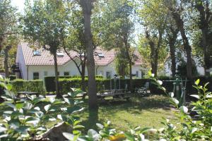 Zahrada ubytování Reingam-Park