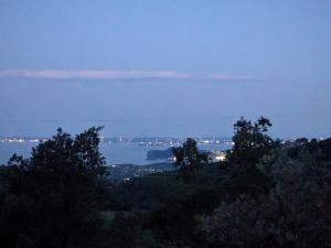 a view of the ocean from a hill with trees at La casetta nel bosco in Salò