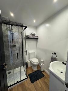 a bathroom with a shower and a toilet and a sink at Gladstone Getaway in Peterhead
