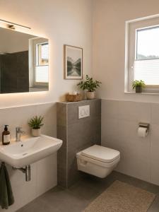 a bathroom with a toilet and a sink and a mirror at Ferienhäuser Seetraum - Premium Card inklusive in Weissensee +2 photos