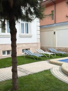 a palm tree and lounge chairs next to a swimming pool at ART Dream Hotel in Tashkent