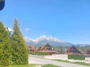 a row of houses with mountains in the background at Modern Oasis in Nová Lesná