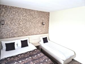 a bedroom with two beds and a wall at Sunrise Villa in Baile Felix +49 photos