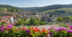 a town in the mountains with flowers in the foreground at PANORAMA Hotel Heimbuchenthal in Heimbuchenthal